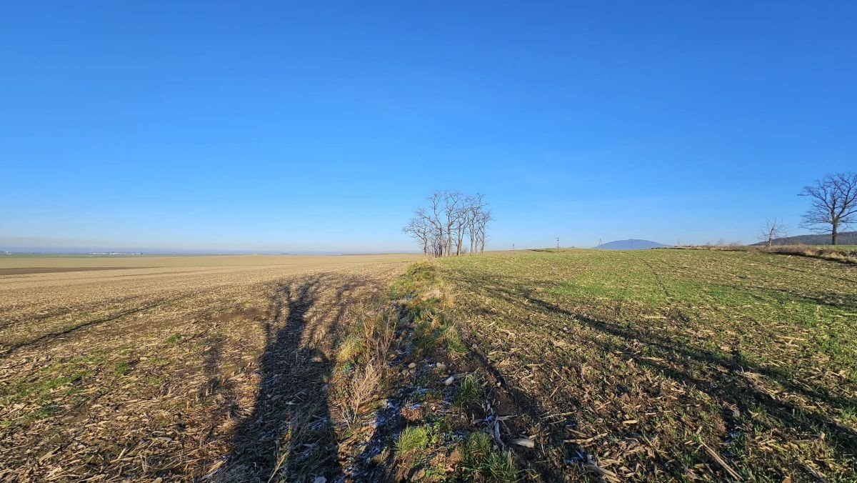 Działka siedliskowa na sprzedaż Krzczonów  8 400m2 Foto 11