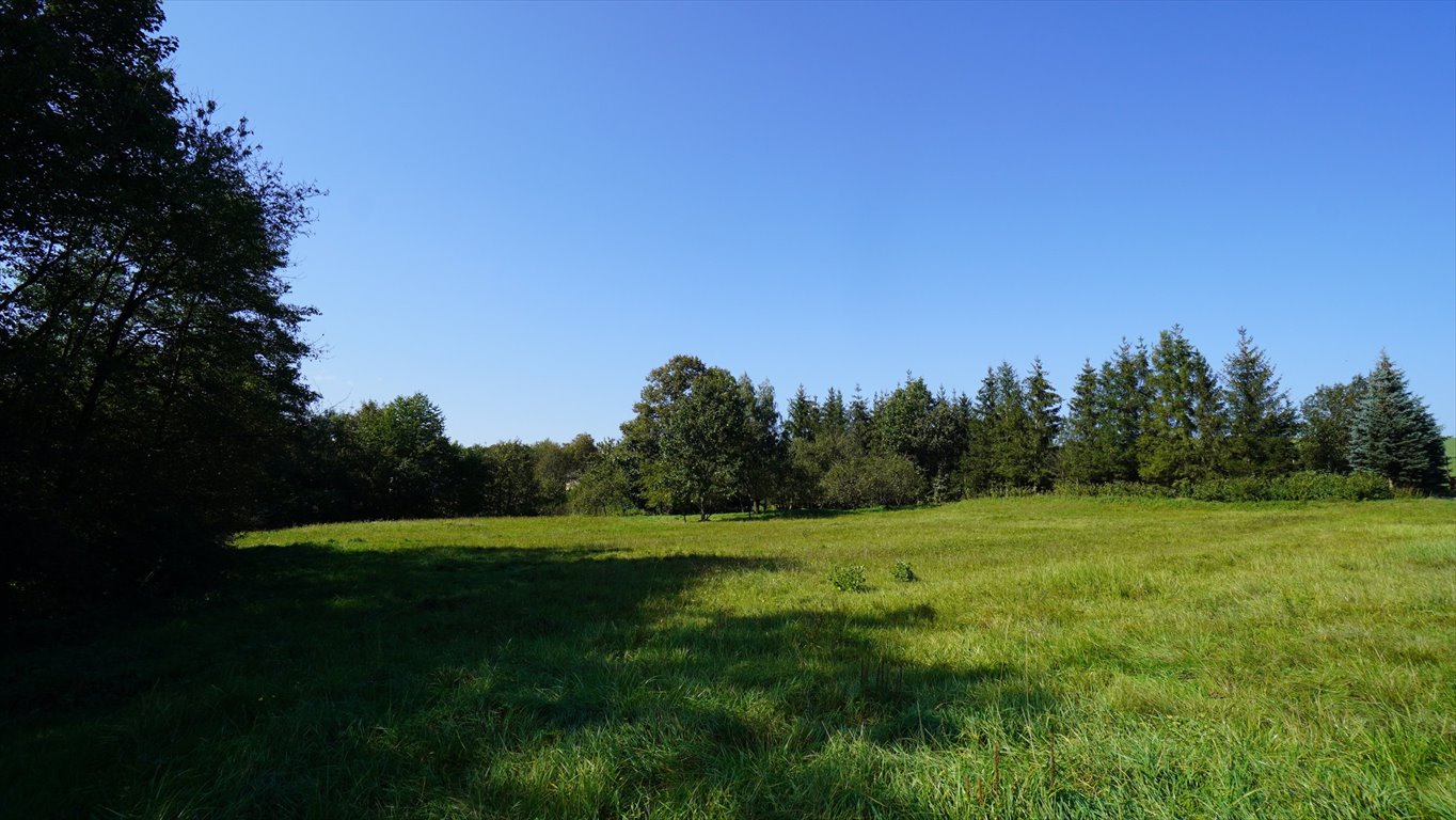 Działka budowlana na sprzedaż Bednarka  2 930m2 Foto 6