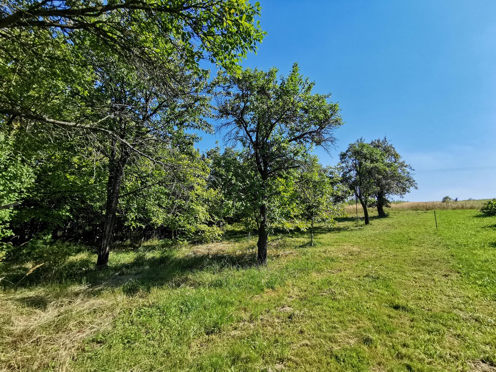 Dom na sprzedaż Jodłówka  90m2 Foto 3