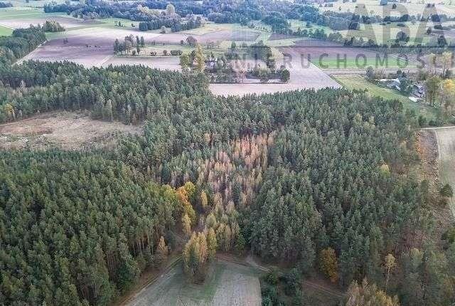 Działka rolna na sprzedaż Myślibórz  9 200m2 Foto 6