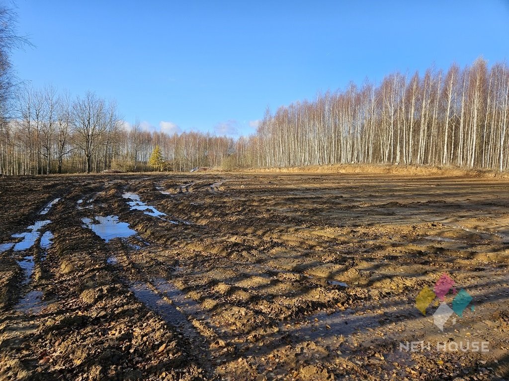 Działka budowlana na sprzedaż Rozgity  3 878m2 Foto 5