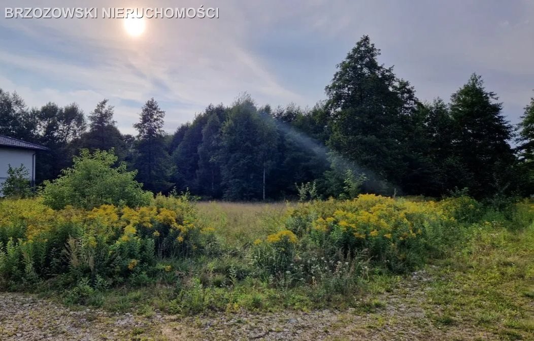 Działka budowlana na sprzedaż Warszawa, Wawer, Aleksandrów  1 211m2 Foto 4