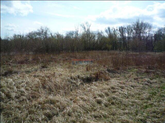 Działka 3995 m² z wysokimi skarpami i blisko rzeczki Konstancin-Jeziorna, Konstancin-Jeziorna  3 995m2 Foto 1