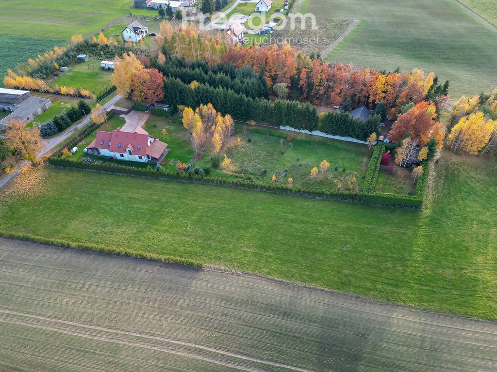 Działka rolna na sprzedaż Laseczno, Laseczno Małe  3 000m2 Foto 2