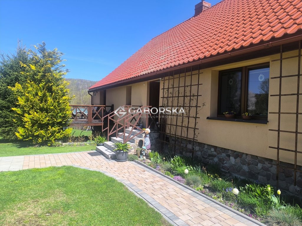 Polecam przestronny dom 348 m² z 3 niezależnymi mieszkaniami w Walim Olszyniec  348m2 Foto 1