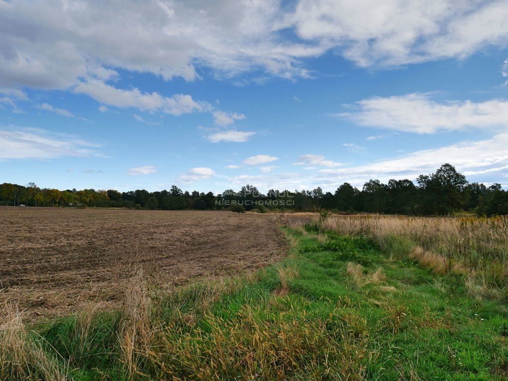 Działka komercyjna na sprzedaż Kruszyn  14 000m2 Foto 2