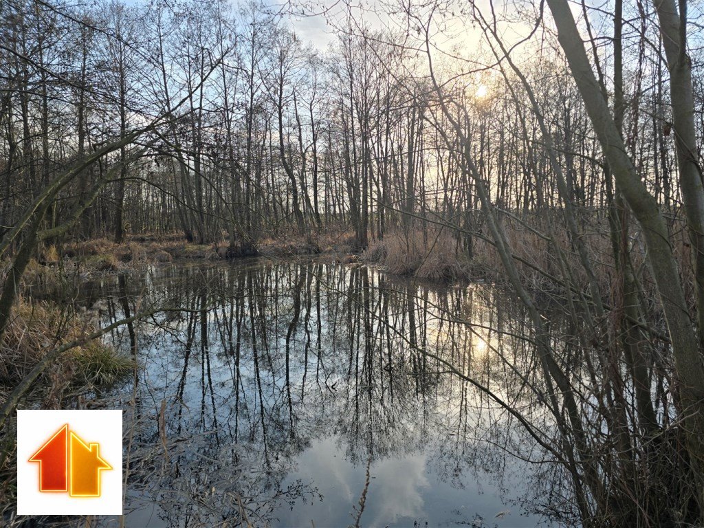 Działka z własnym stawem i lasem, 3400 m², Gostynin Strzałki  3 368m2 Foto 1