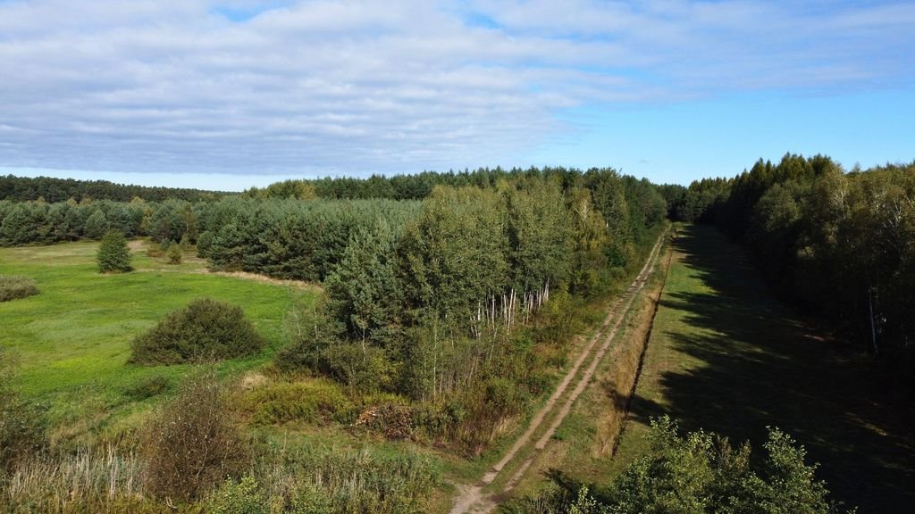 Działka leśna na sprzedaż Cieplice  10 300m2 Foto 5