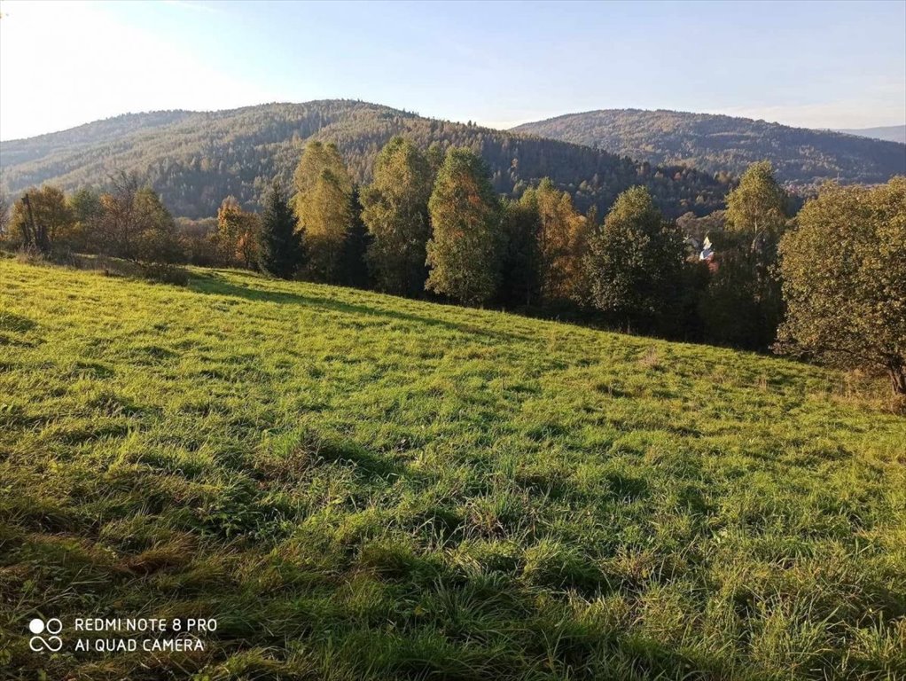 Działka rolna na sprzedaż Rajcza  3 237m2 Foto 1