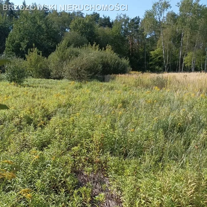 Działka budowlana na sprzedaż Lesznowola  2 040m2 Foto 2