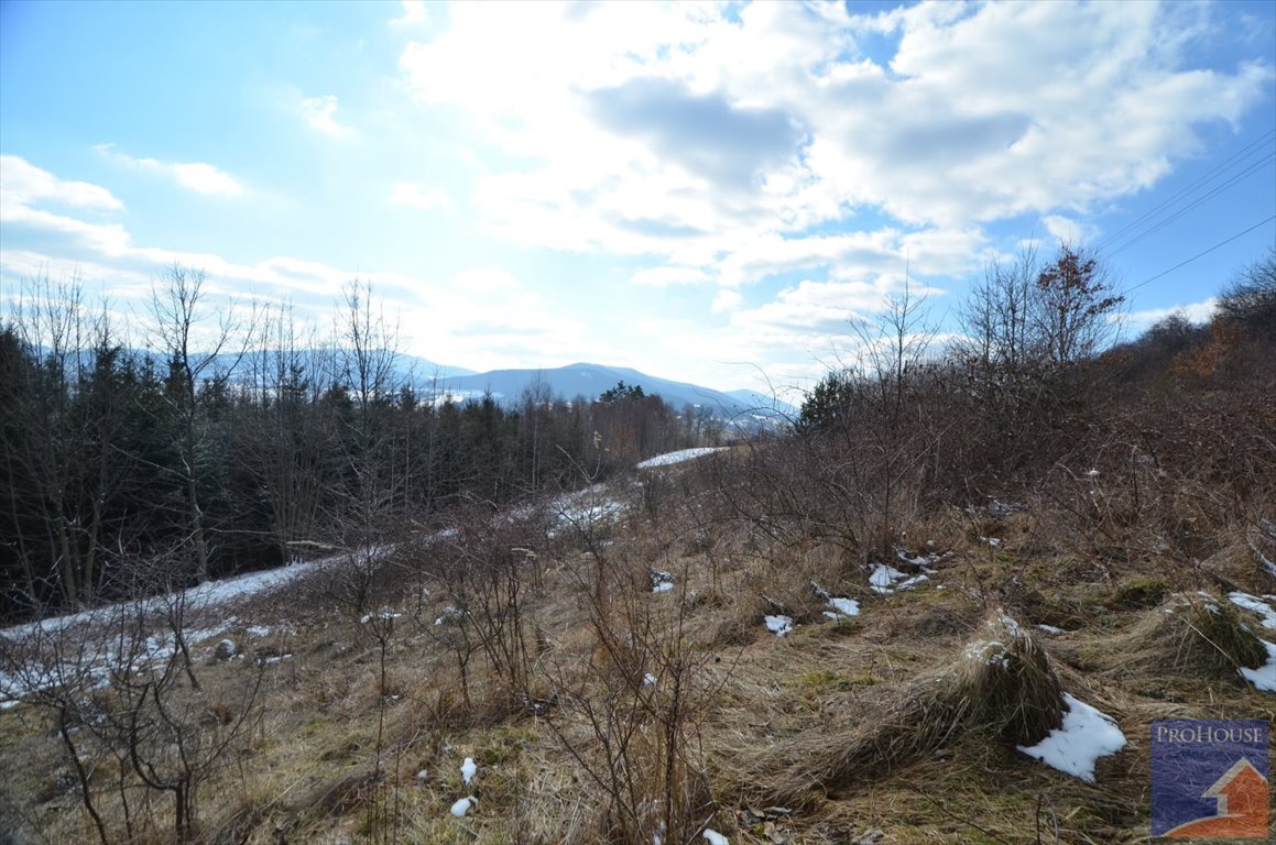 Działka inna na sprzedaż Zamieście  16 400m2 Foto 14