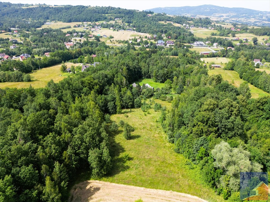 Działka inna na sprzedaż Lipowe  20 300m2 Foto 3