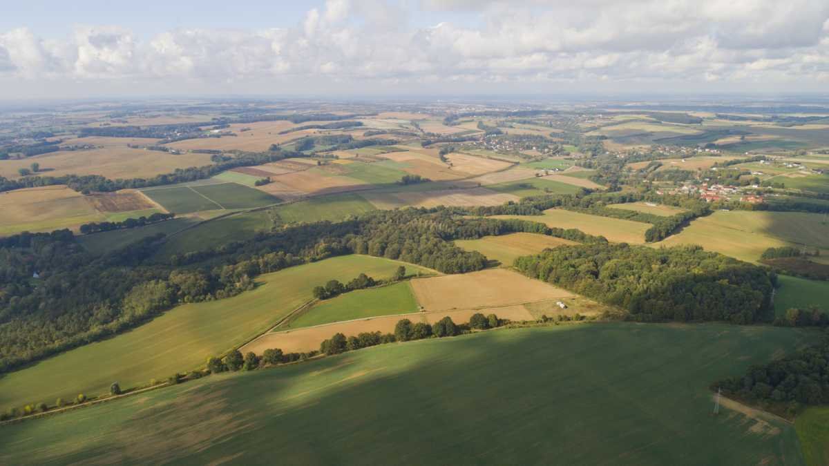 Działka budowlana na sprzedaż Trzebnica, Taczów Mały  1 201m2 Foto 1