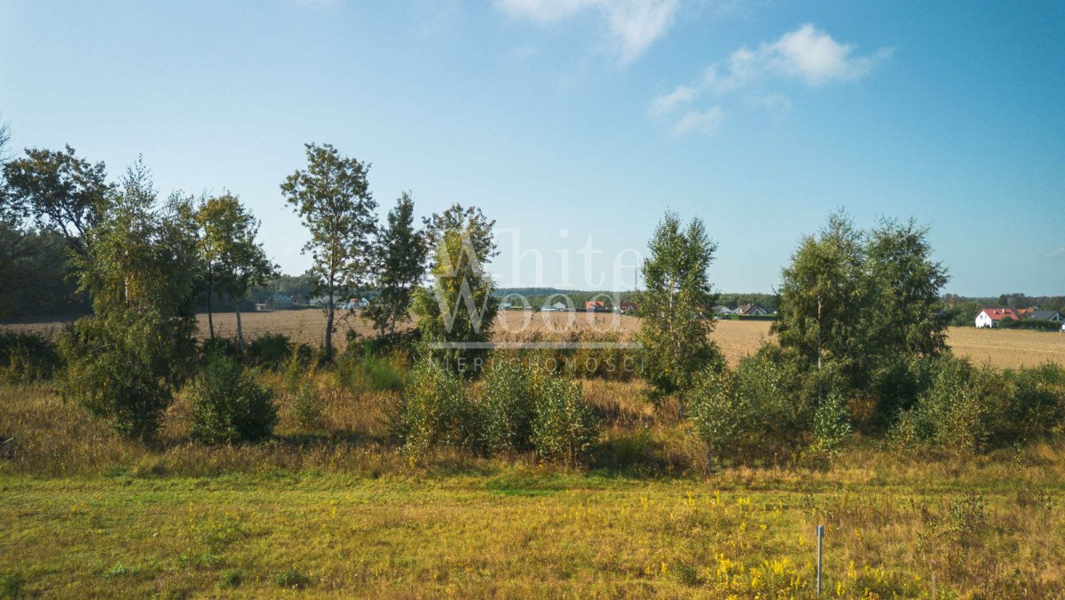 Działka budowlana na sprzedaż Połchowo  1 000m2 Foto 8