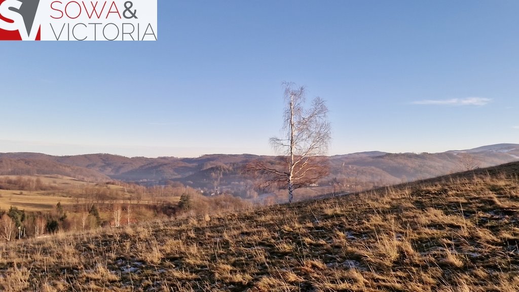 Działka inna na sprzedaż Zagórze Śląskie  32 000m2 Foto 15