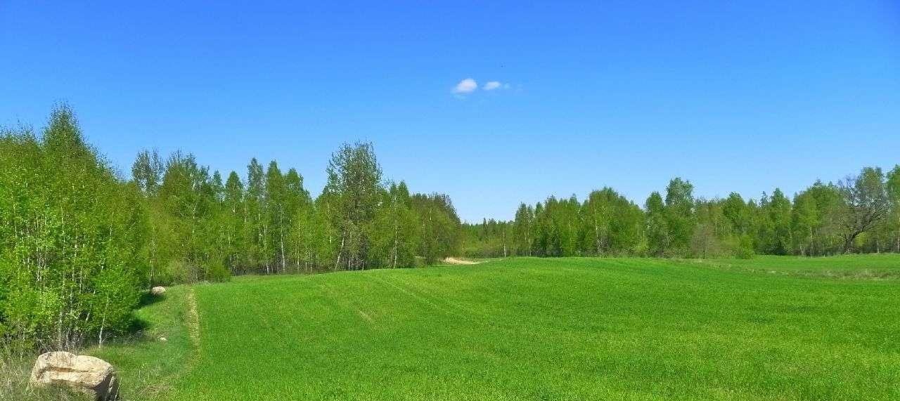 Działka rolna na sprzedaż Krasnopol  3 000m2 Foto 7