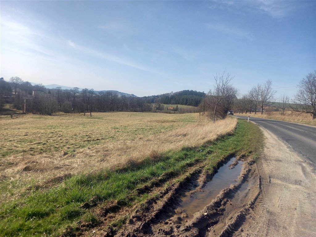 Działka inna na sprzedaż Jabłów  20 340m2 Foto 14