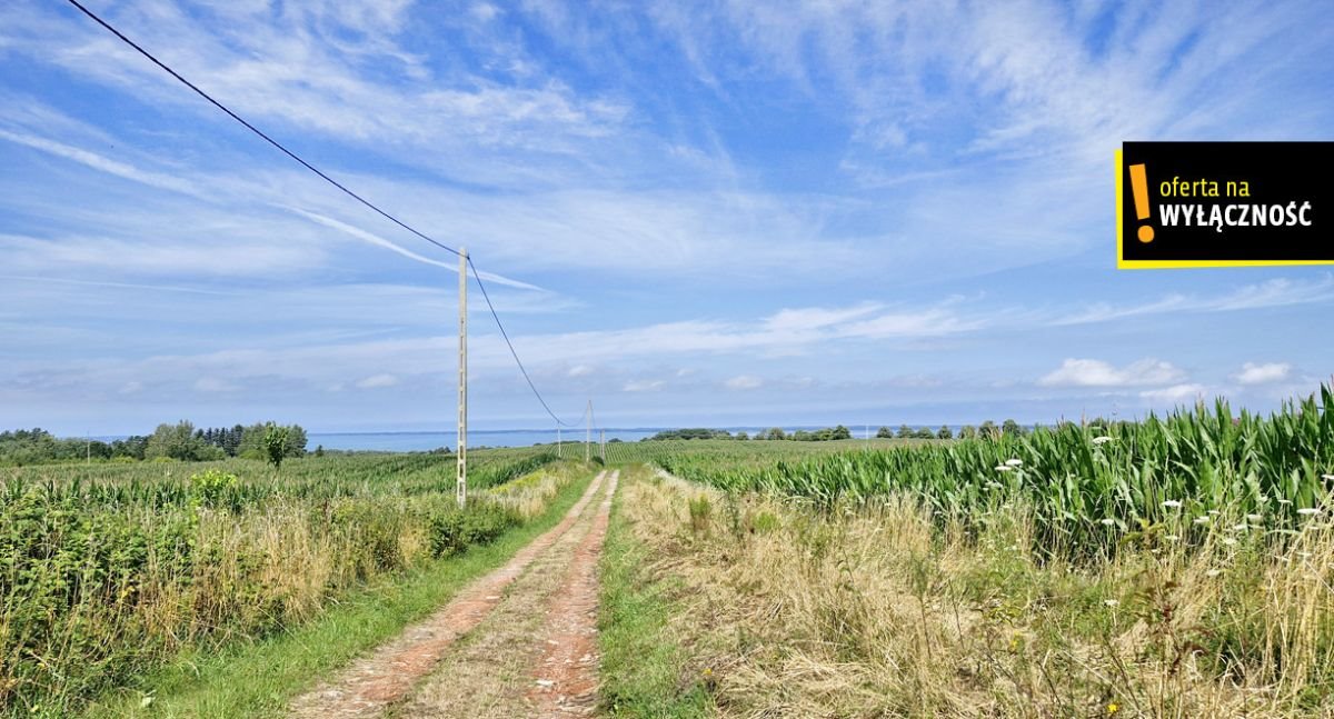 Działka rolna na sprzedaż Łęcze  26 900m2 Foto 5