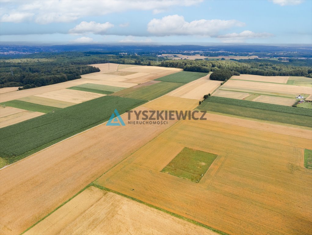 Działka budowlana na sprzedaż Góra, Słowińska  3 088m2 Foto 9