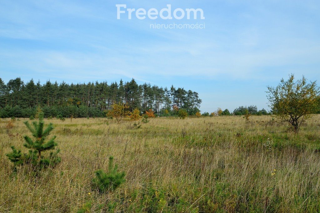 Działka budowlana na sprzedaż Siedliska  914m2 Foto 3