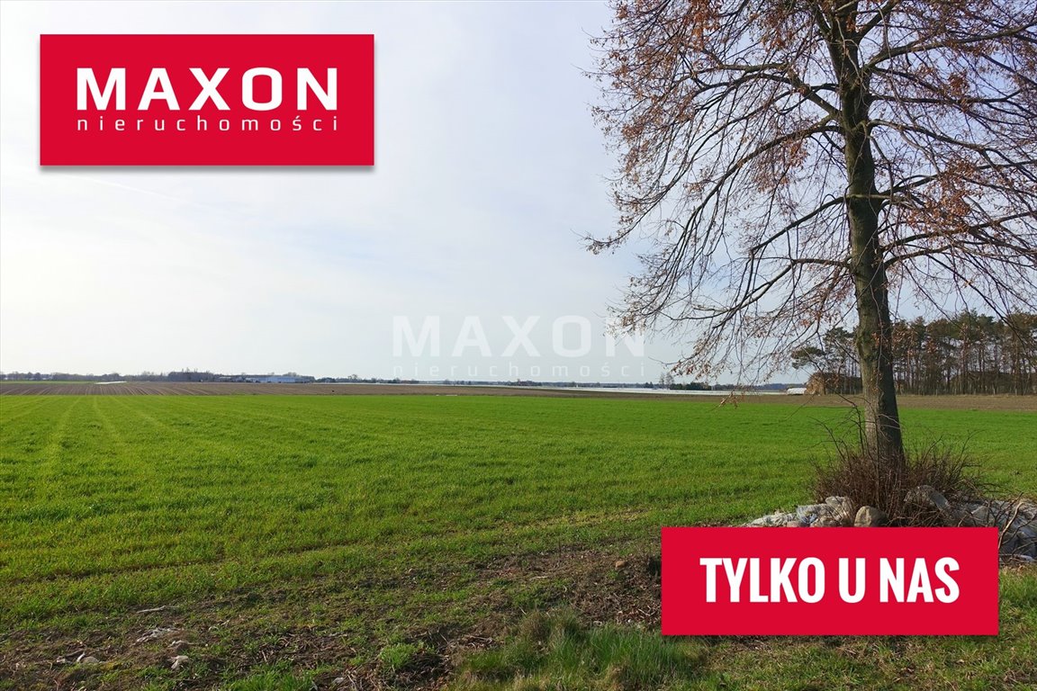 Grunt inwestycyjny 2,98ha przy targowisku i Szlaku truskawkowym Nowe Przybojewo  29 800m2 Foto 1