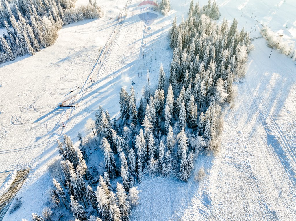 Działka rolna na sprzedaż Bukowina Tatrzańska  7 839m2 Foto 6