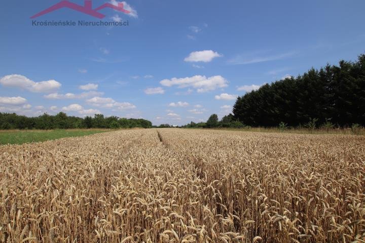 Działka budowlana na sprzedaż Łężany  3 930m2 Foto 9