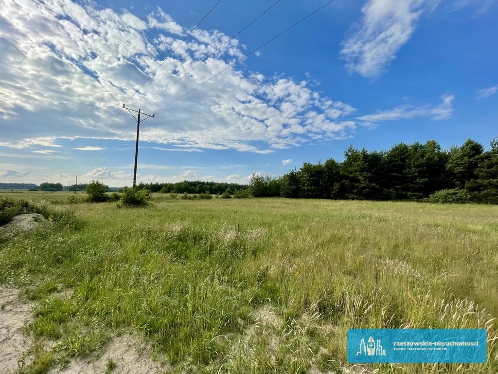 Działka budowlana na sprzedaż Czerwona Wola  1 000m2 Foto 2