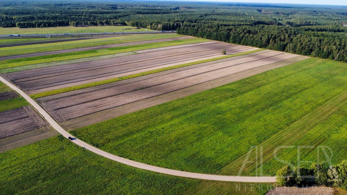 Działka inwestycyjna na sprzedaż Trzcianka  12 646m2 Foto 5