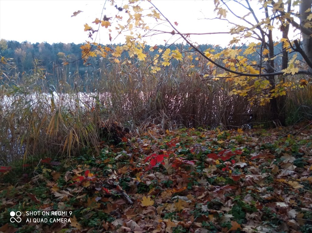 Działka budowlana na sprzedaż Łowicz, Łódzka  6 500m2 Foto 14