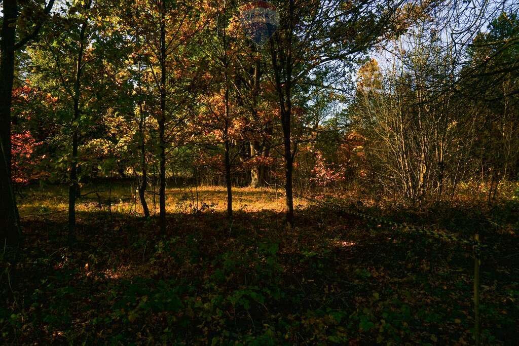 Działka budowlana na sprzedaż Puszcza Mariańska, Akacjowa  1 795m2 Foto 5