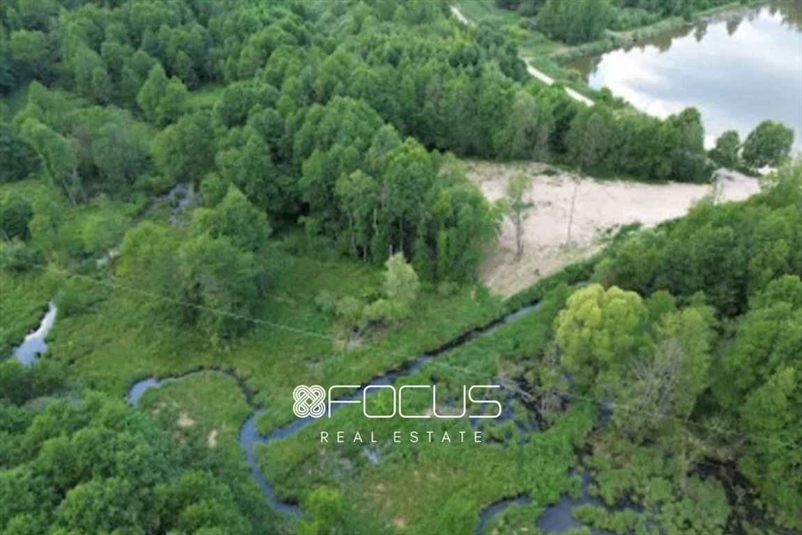 Działka leśna na sprzedaż Radziejowice  11 000m2 Foto 4