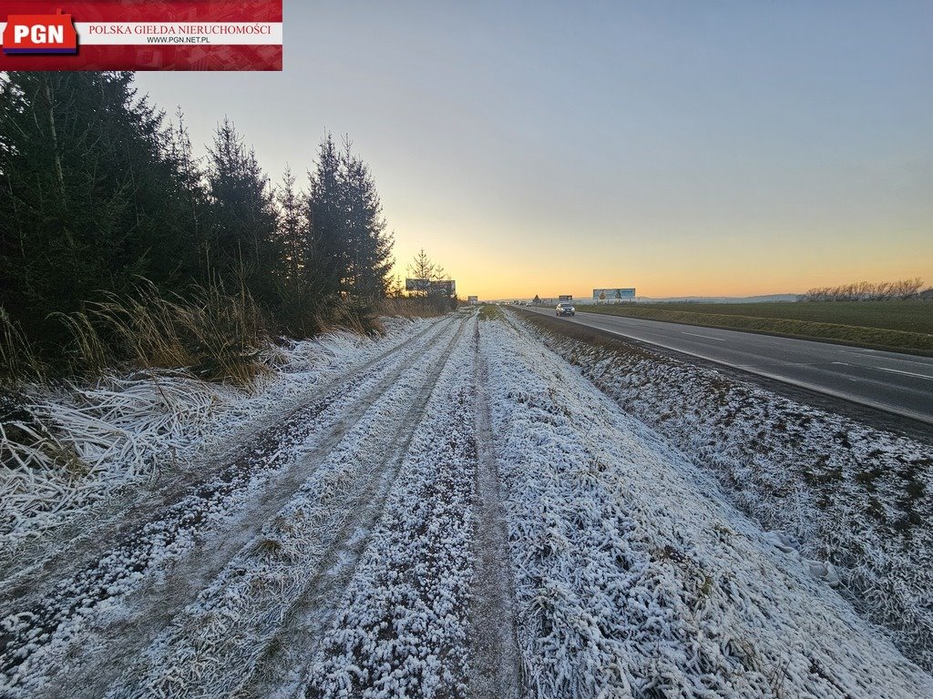 Działka inwestycyjna na sprzedaż Kłodzko  4 713m2 Foto 5