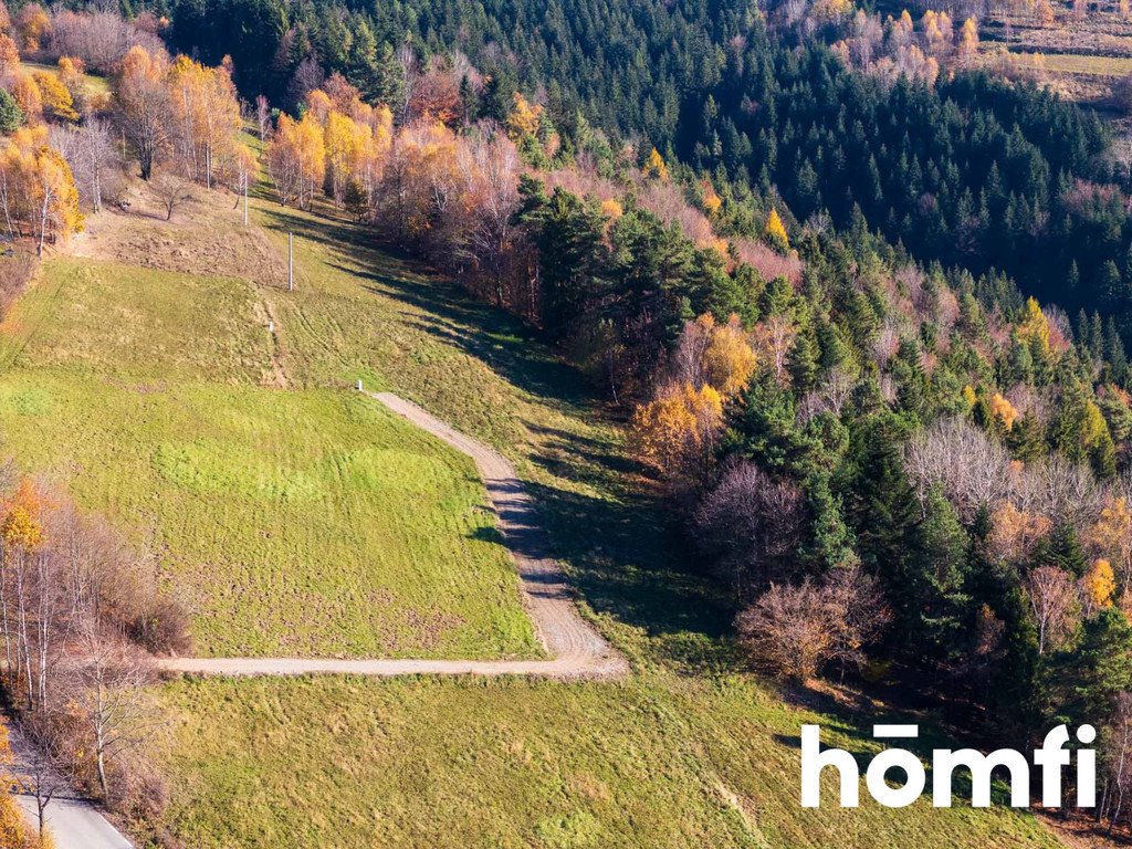 Działka budowlana na sprzedaż Pcim  4 003m2 Foto 4