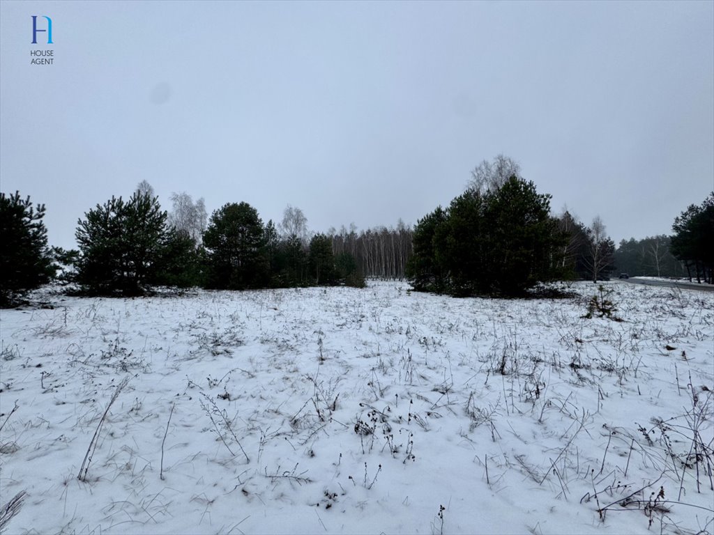 Działka leśna na sprzedaż Iwonie  27 100m2 Foto 1