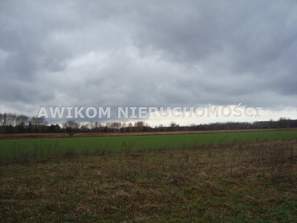 Działka budowlana na sprzedaż Żabia Wola, Kaleń  1 200m2 Foto 4