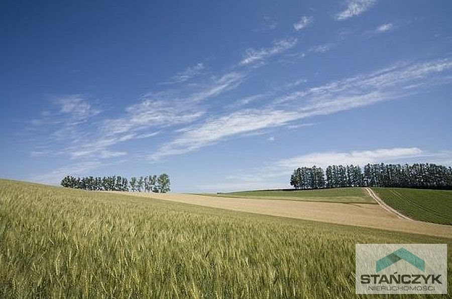 Działka budowlana na sprzedaż Kamień Pomorski  3 000m2 Foto 1