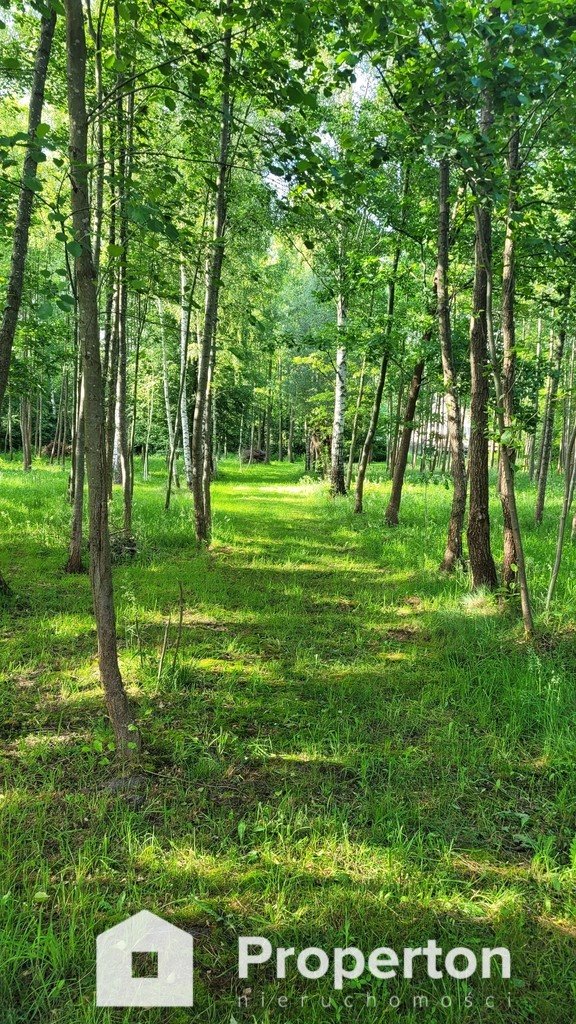 Dom na sprzedaż Twarogi  120m2 Foto 20