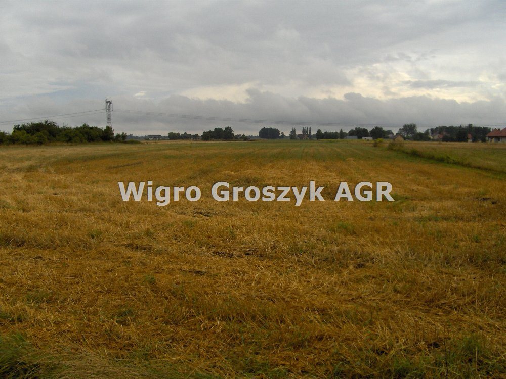 Do sprzedania działka pod zabudowę mieszkaniową 10200 m² w Kampinosie Kampinos A  10 200m2 Foto 1