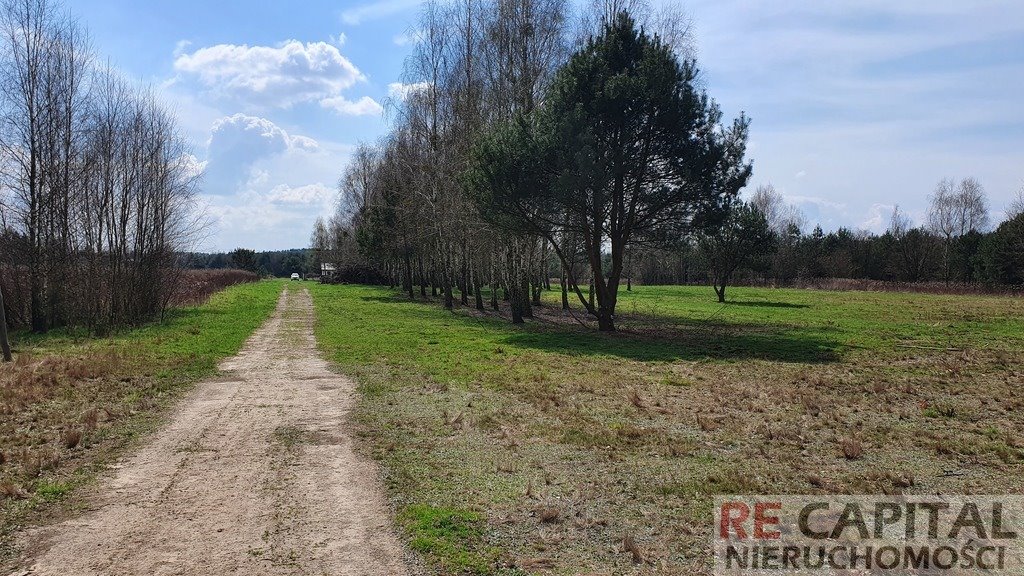 Działka budowlana na sprzedaż Szymanówek  3 300m2 Foto 4