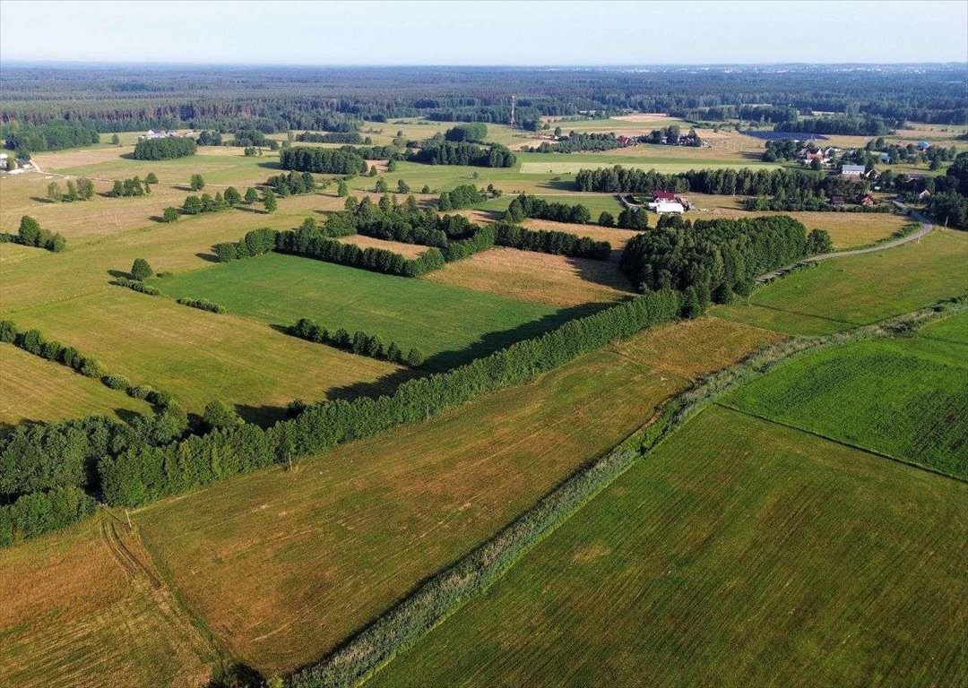 Działka rolna na sprzedaż Czarkowy Grąd  1 284m2 Foto 3