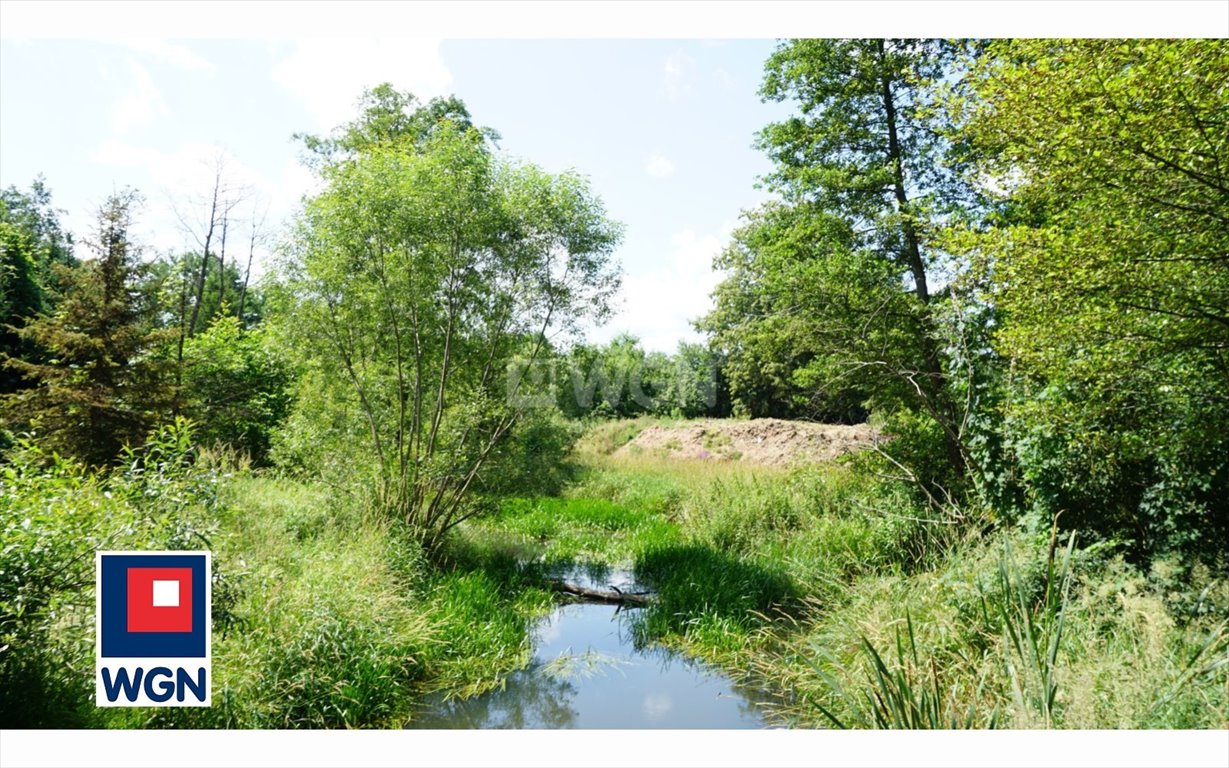 Działka 4900 m² w Zawadzie (las, rzeczka, spokojna okolica) Zawada, Zawada, Botaniczna  4 900m2 Foto 1