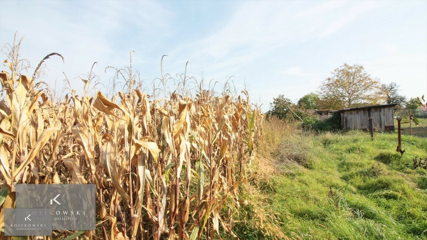 Działka inna na sprzedaż Namysłów, Gmina Namysłów  900m2 Foto 8