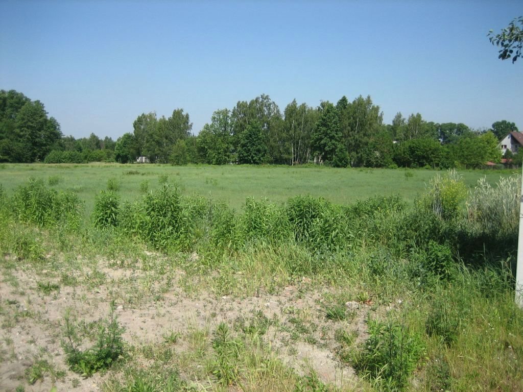 Działka budowlana na sprzedaż Łódź, Bałuty, Zimna Woda  1 001m2 Foto 5