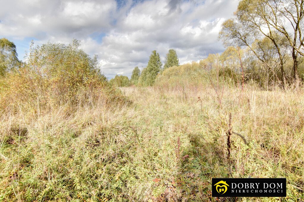 Działka budowlana na sprzedaż Hryniewicze  1 000m2 Foto 8