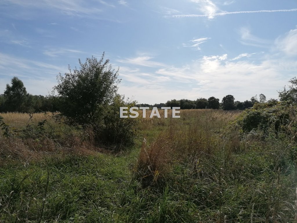 Działka inwestycyjna 6 024 m² z mediami, spokojna okolica Zgierz, Aleksandrowska  6 024m2 Foto 1