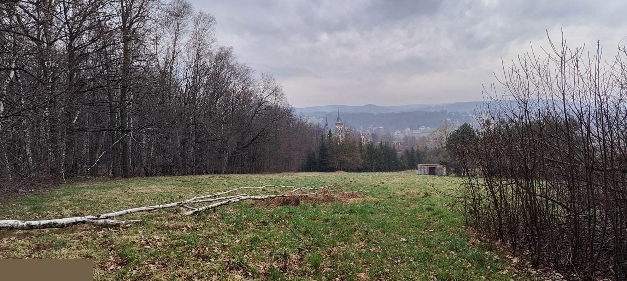 Działka budowlana na sprzedaż Głogoczów  700m2 Foto 5