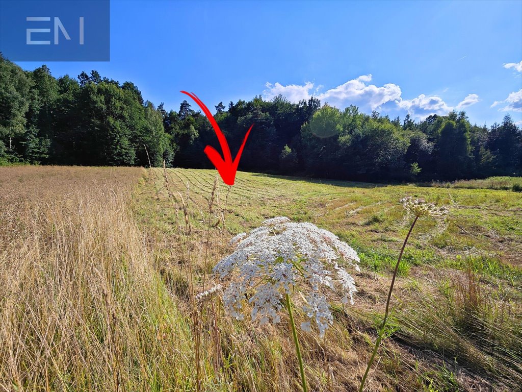 Działka budowlana na sprzedaż Krasna  5 300m2 Foto 8