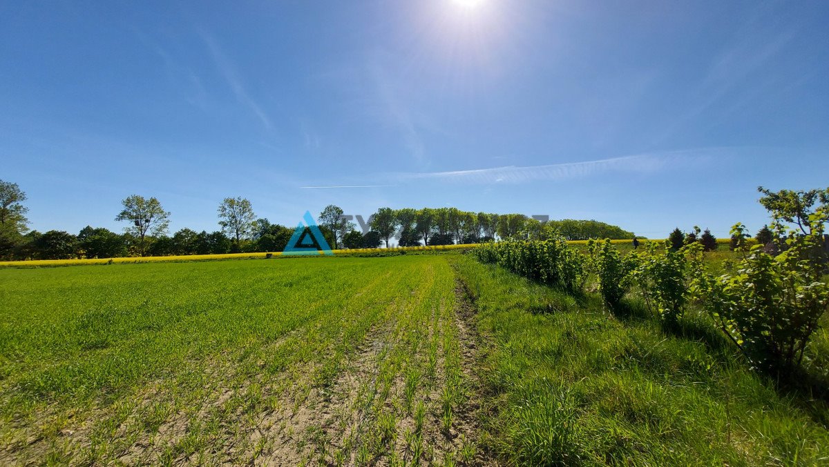 Działka budowlana na sprzedaż Wyszecino, Myśliwska  1 350m2 Foto 5