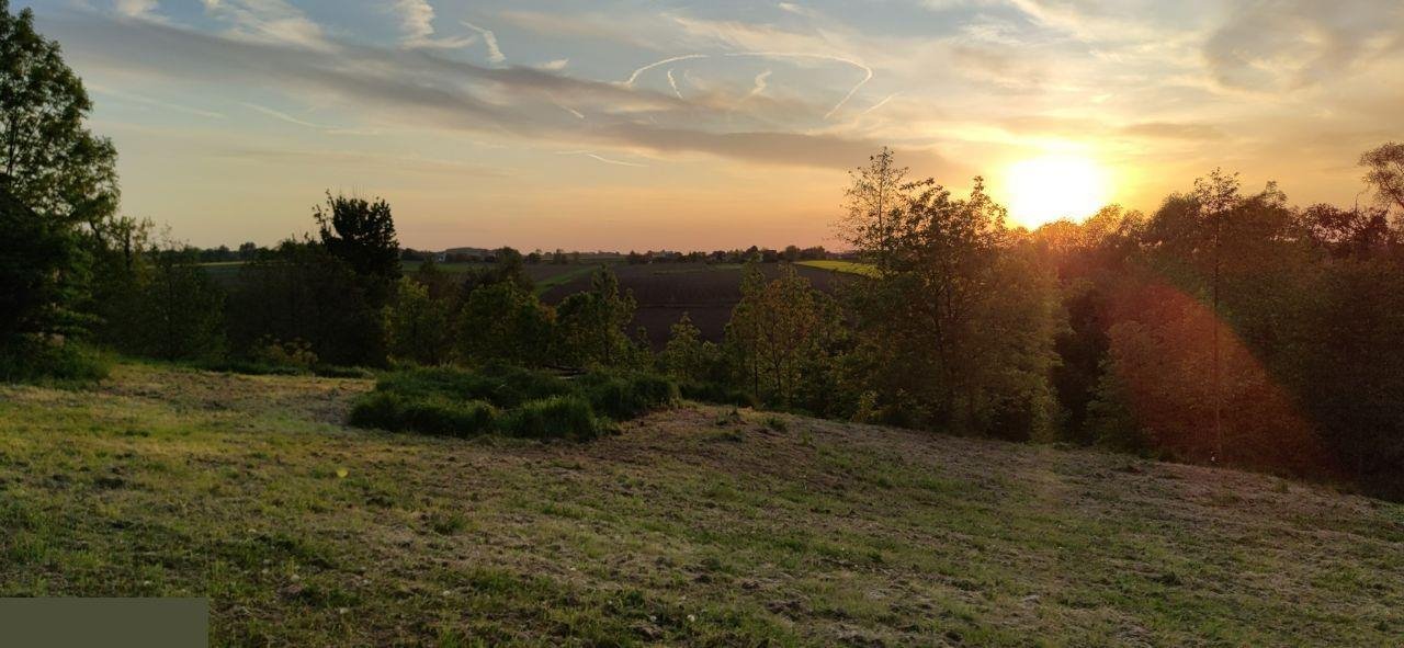 Działka 8,1 ha z domem i infrastrukturą w Orłach Orły  8 113m2 Foto 1